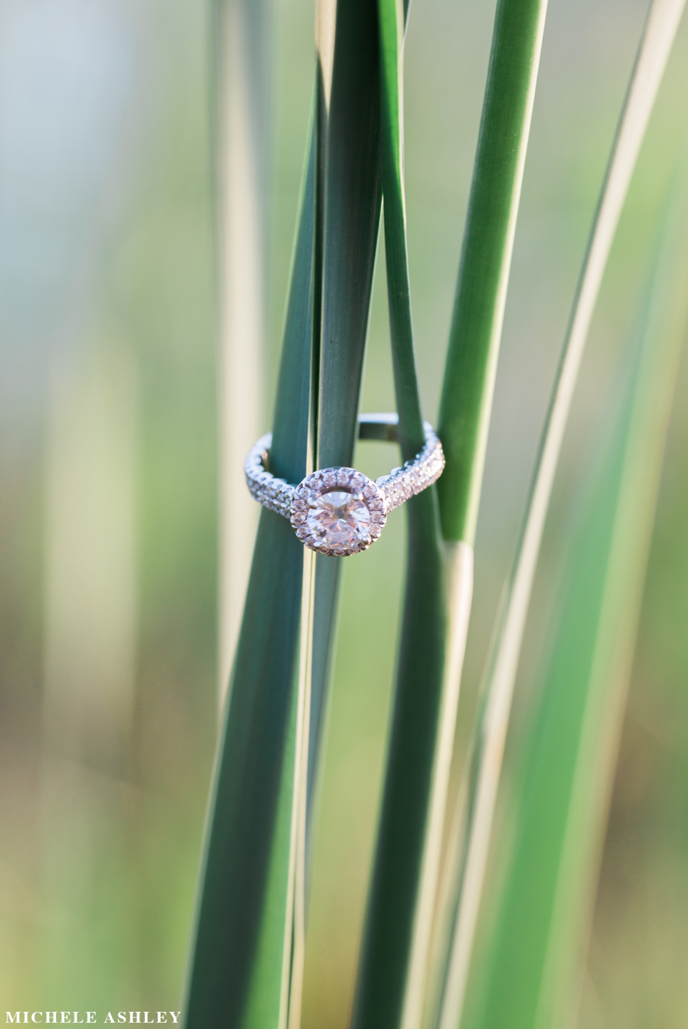 Boston Engagement Photographer - Michele Ashley Photography