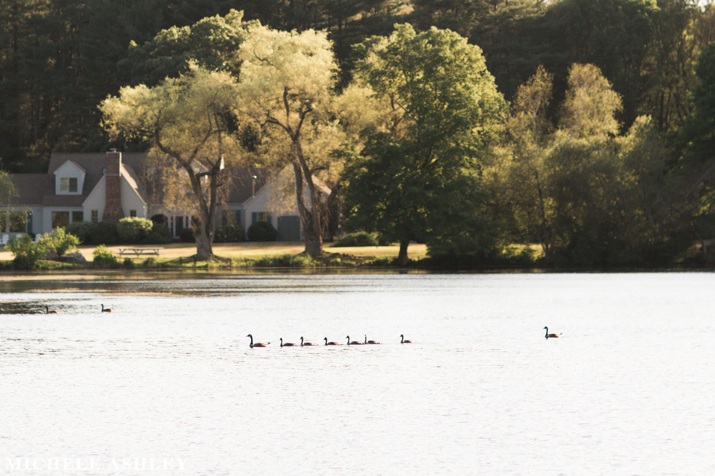 Boston Engagement Photographer - Michele Ashley Photography