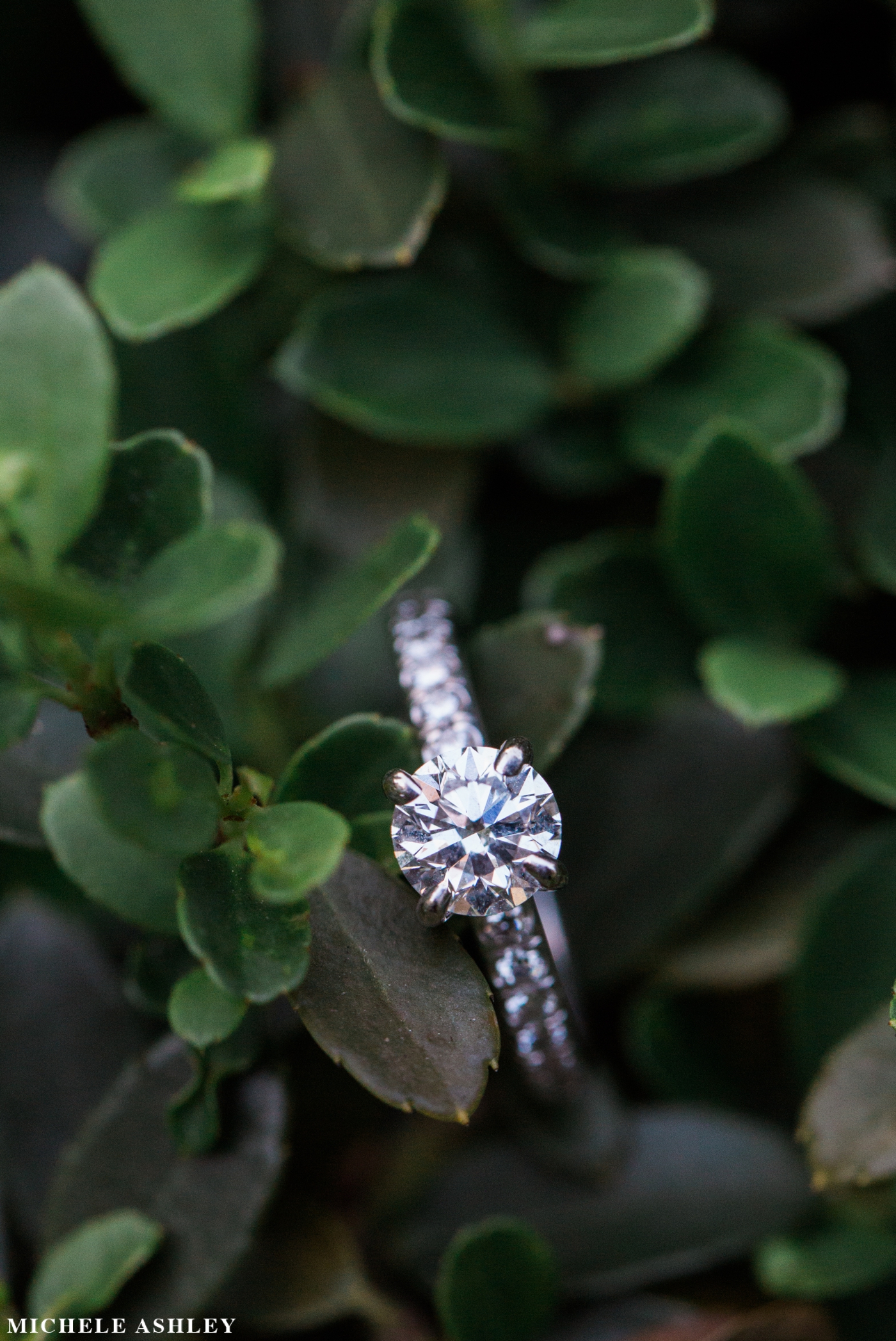 Boston Harborwalk Engagement | Kelly & Mark | Michele Ashley Photography