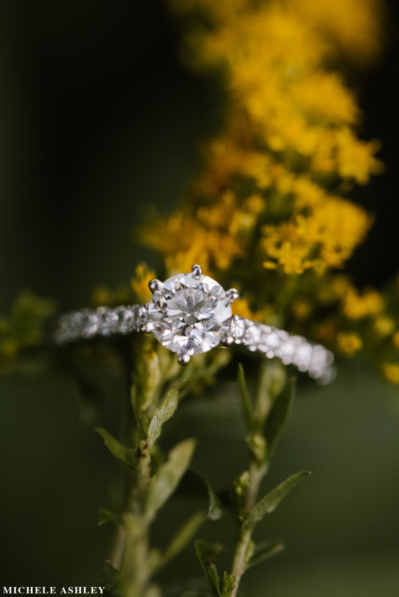 How to photograph engagement rings